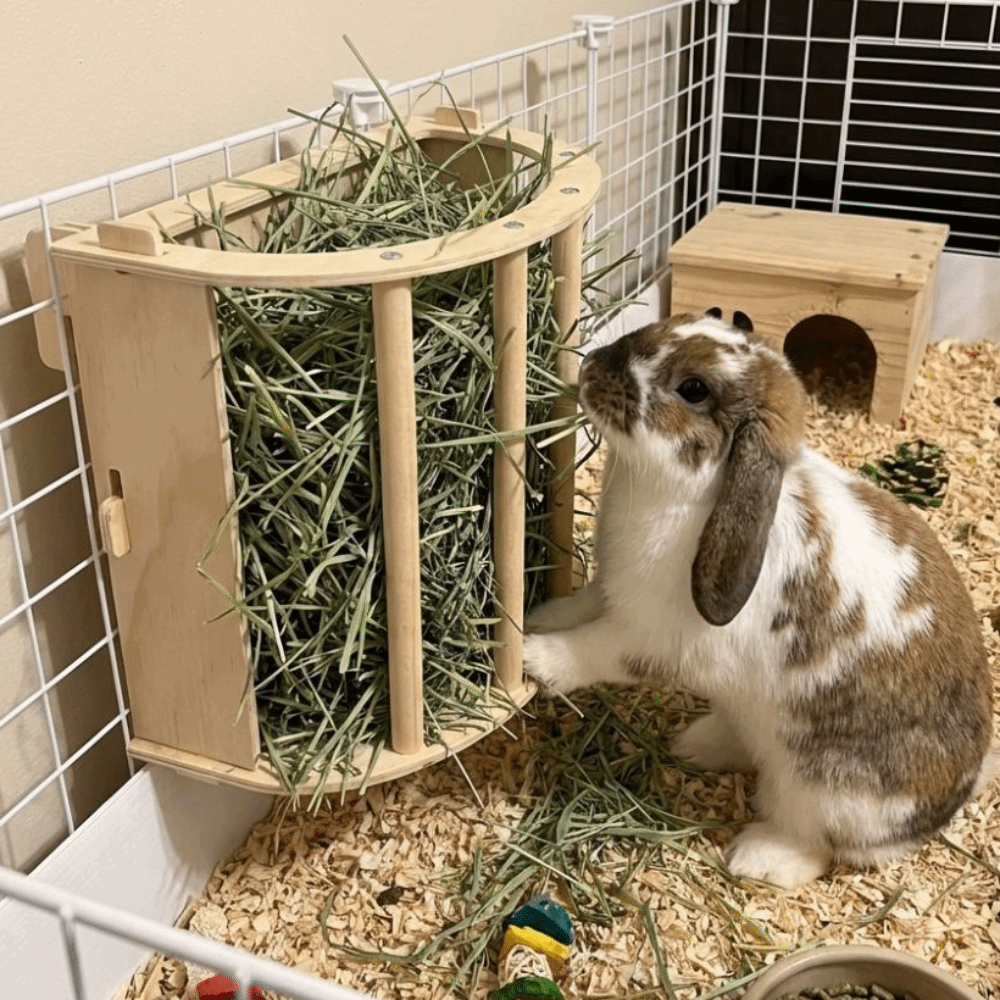 Practical Wooden Bunny Hay Fee – Woodworking Rabbet Bewertung und Preis