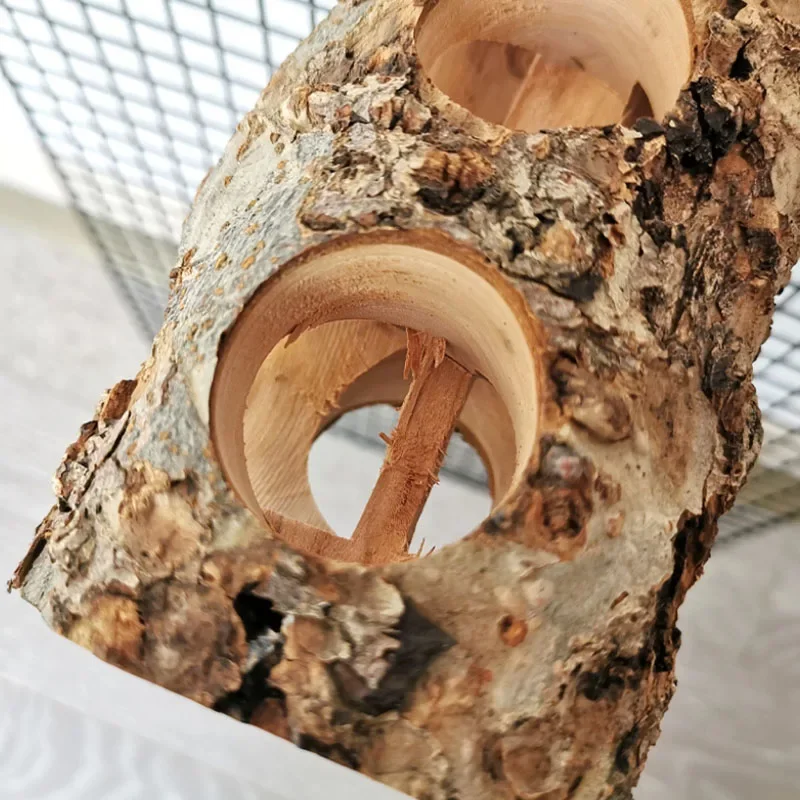Pet Hamster Toy Natural Apple  – Woodworking Rabbet Bewertung und Preis