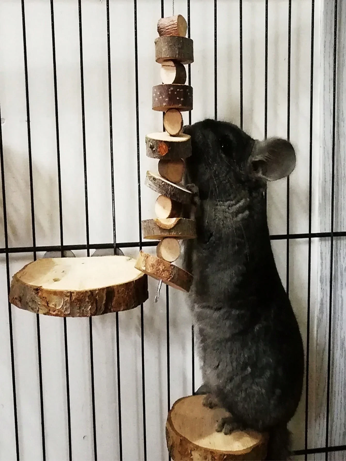 Hamster Rabbit Chew Toy Natura – Woodworking Rabbet Bewertung und Preis
