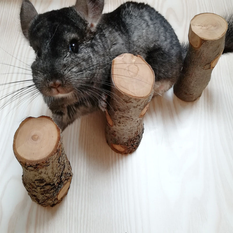 Pet Hamster Toy Natural Apple  – Woodworking Rabbet Bewertung und Preis