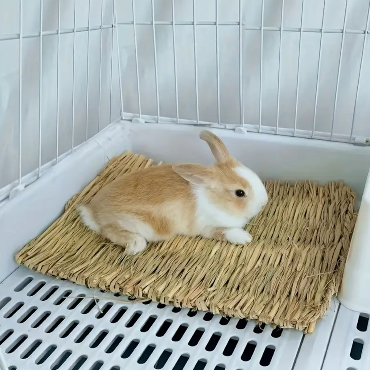 Natural grass woven rabbit gra – Woodworking Rabbet Bewertung und Preis