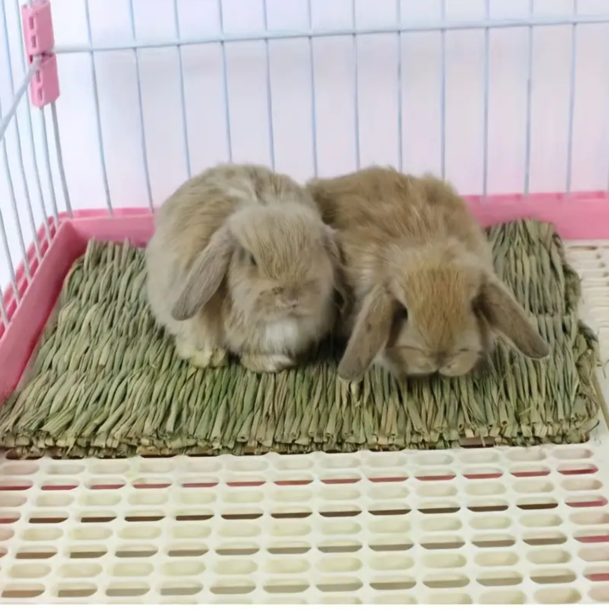 Natural grass woven rabbit gra – Woodworking Rabbet Bewertung und Preis