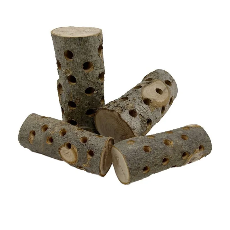 Small Animal Chew Toy Natural  – Woodworking Rabbet Bewertung und Preis
