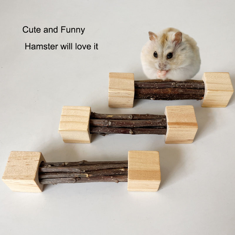 Pet Hamster Toy Natural Apple  – Woodworking Rabbet Bewertung und Preis